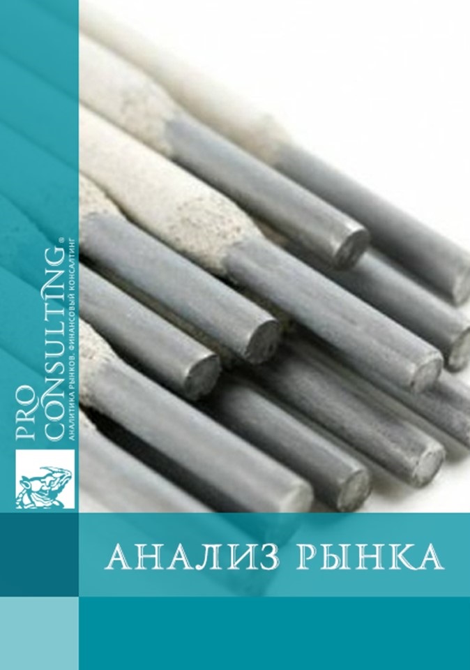 Анализ рынка электродов в Германии. 2022 год